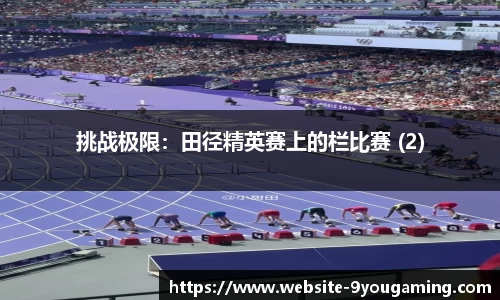 挑战极限：田径精英赛上的栏比赛 (2)